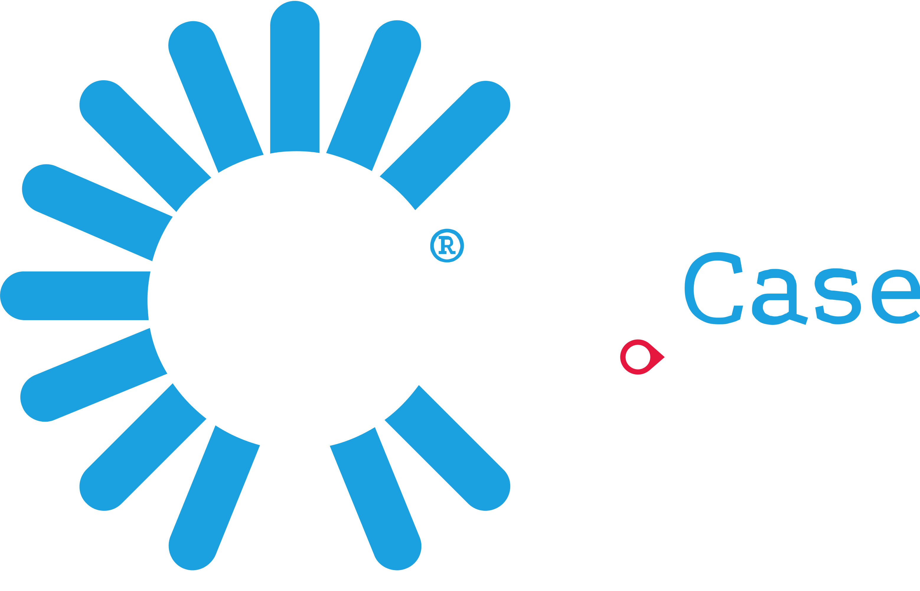 inCase - An Access Company