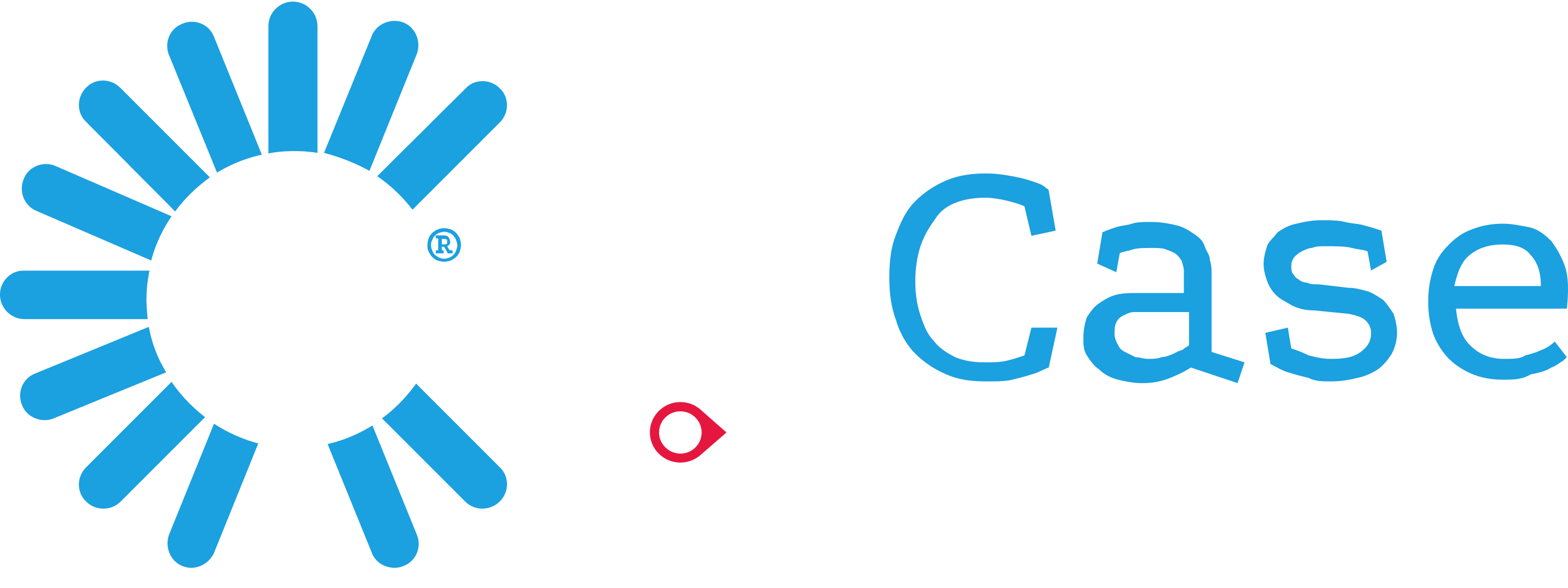 inCase - An Access Company
